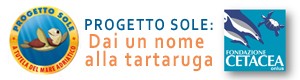 progettosole